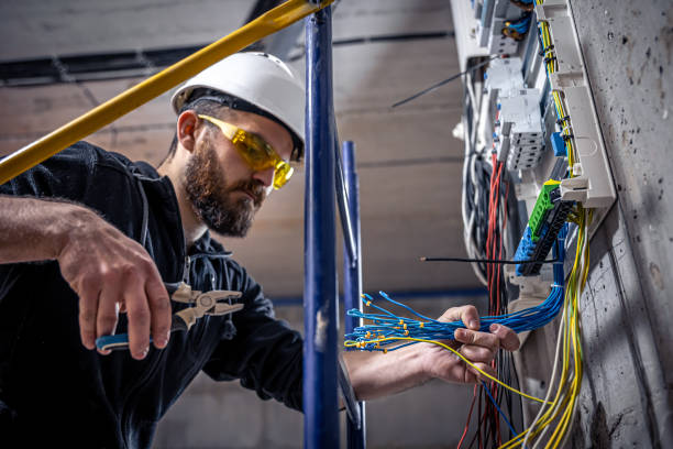 Best Local Electrician Companies  in Fern Acres, HI