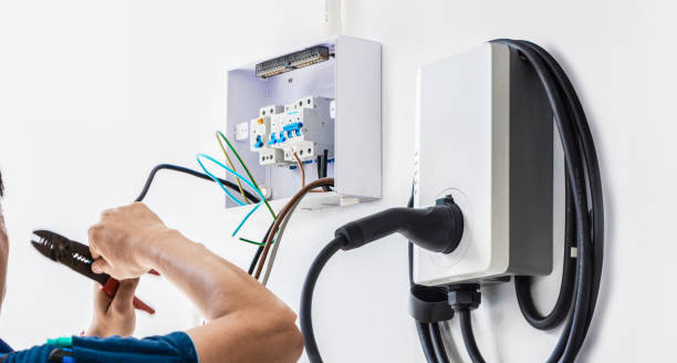 Best Electric Panel Repair  in Fern Acres, HI