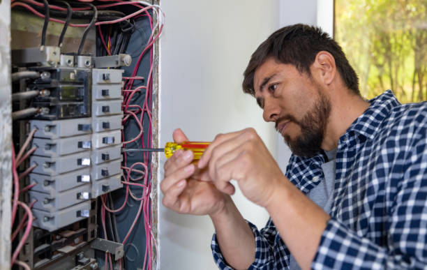 Best Affordable Electrician  in Fern Acres, HI